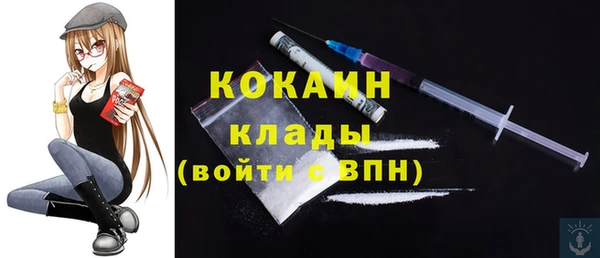 трава Богородицк