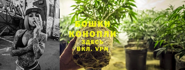 трава Богородицк