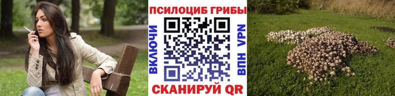 Купить закладки  Отрадная  Псилоцибиновые грибы GOLDEN TEACHER 