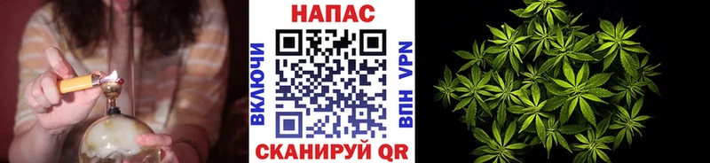 Купить  Отрадная  Канабис MAZAR 